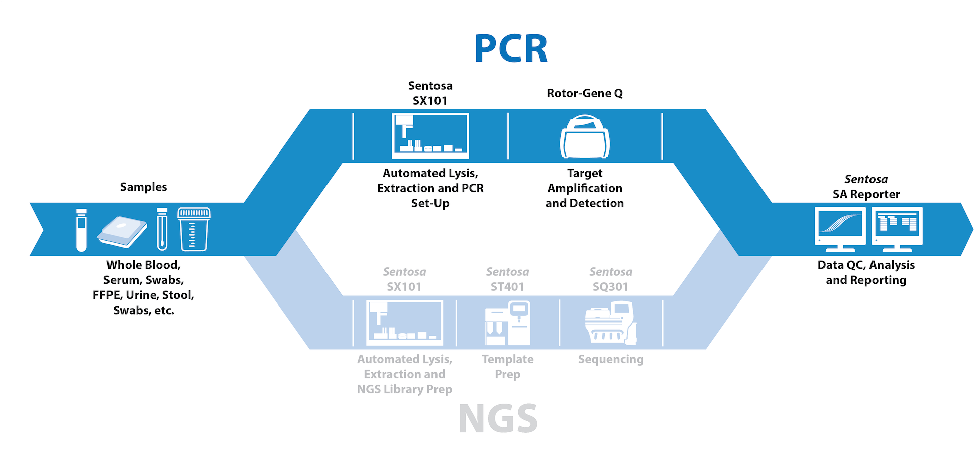 Integrated PCR & NGS Workflows for Infectious Disease and Oncology